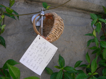 weaving joy basket